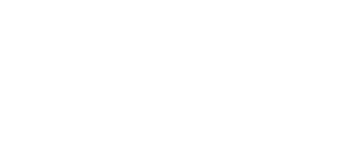VDNEW EVENTURE