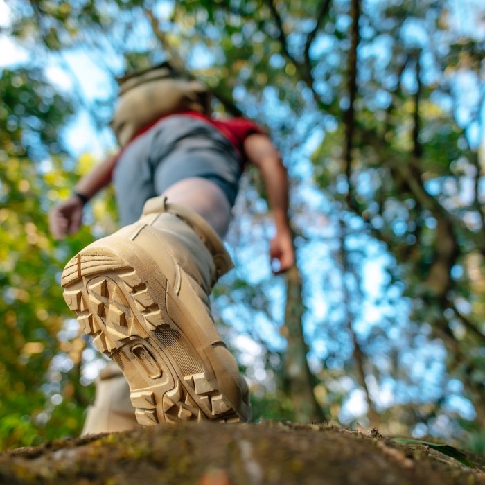 Close up shoes of Hiker walking in the forest Trail Close up, rear view trekking shoes of Hiker walking on the rockห in the forest Trail with sunlight, copy space